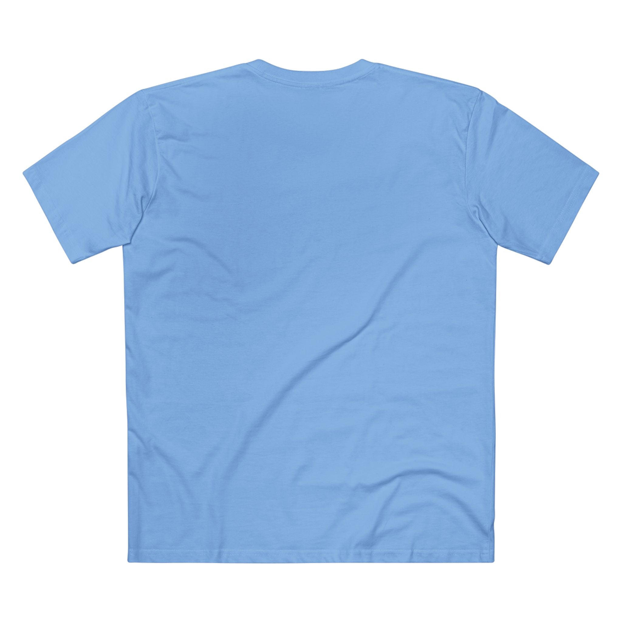 Back It Up Terry! America 250 Patriotic T-Shirt