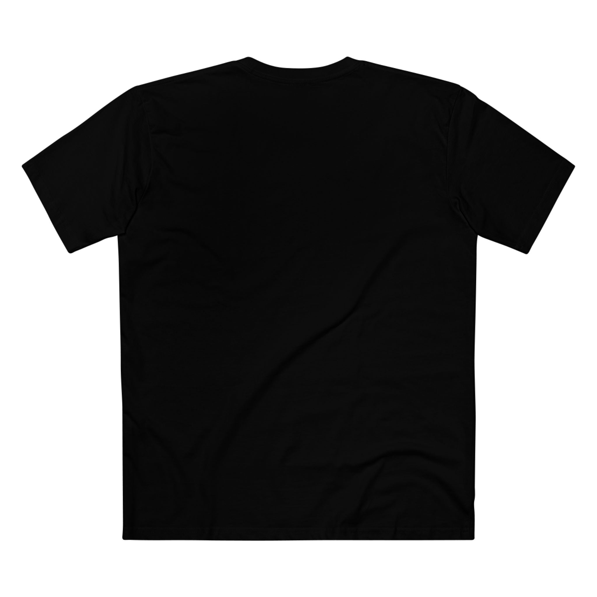 Back It Up Terry! America 250 Patriotic T-Shirt